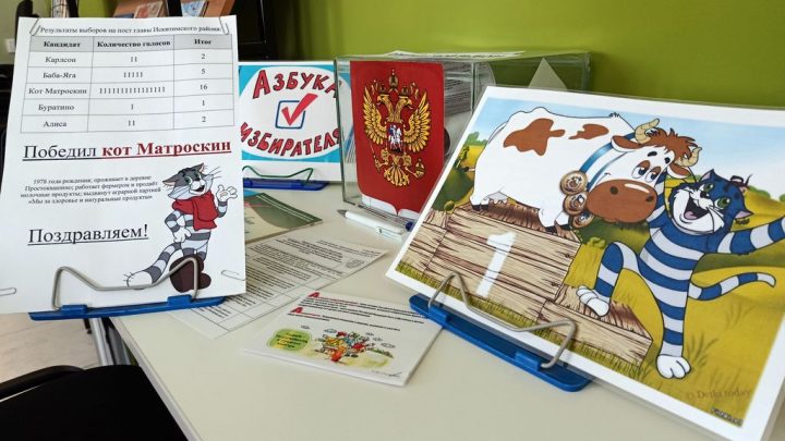 День молодого избирателя в библиотеке