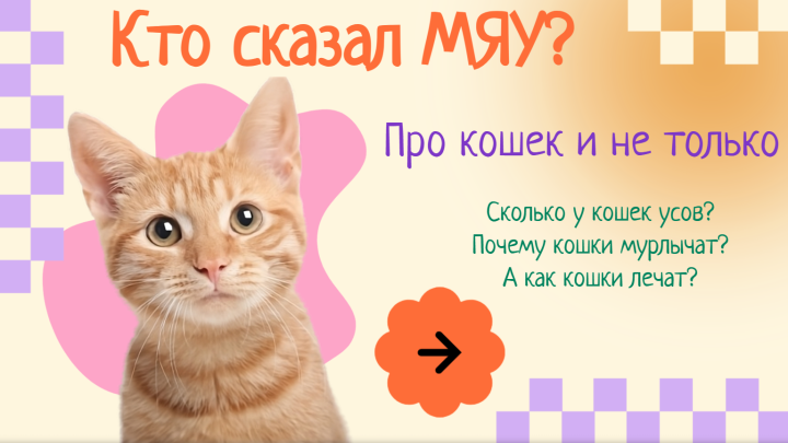 Кто сказал МЯУ?