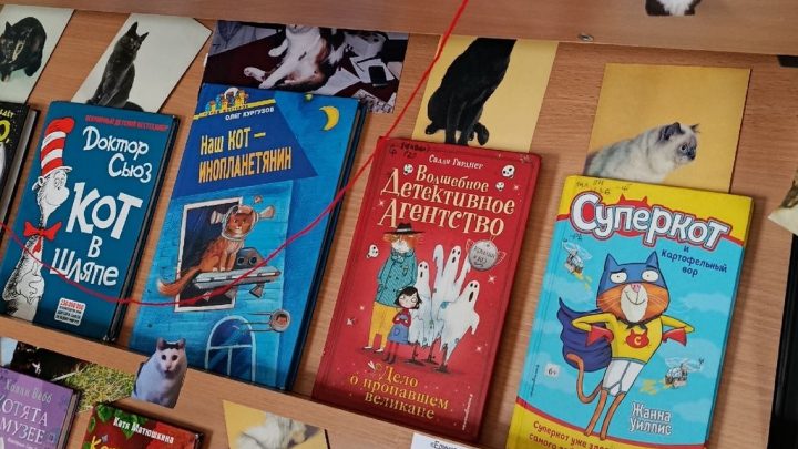 День кошек в библиотеке