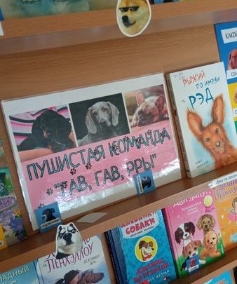 Выставка-инсталляция «Пушистая команда Гав, Гав, Рры!»