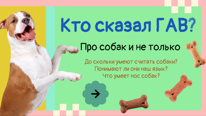 Кто сказал ГАВ ?
